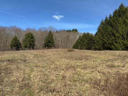 Undeveloped Land in Wayne County, Pennsylvania