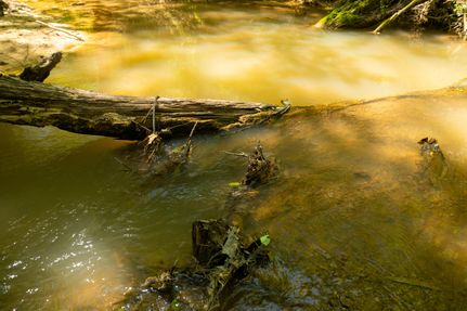 Undeveloped Land in Nacogdoches County, Texas