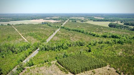 Recreational Property for sale in Laurens County, Georgia