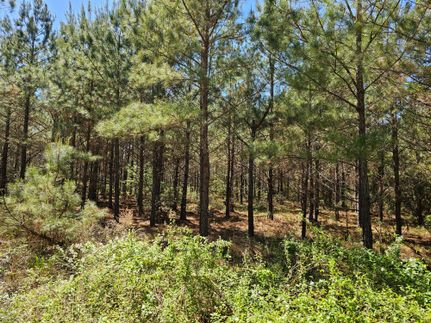 Land in Lafayette County, Arkansas