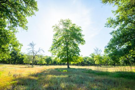 Farm and Ranch in Wilson County, Texas