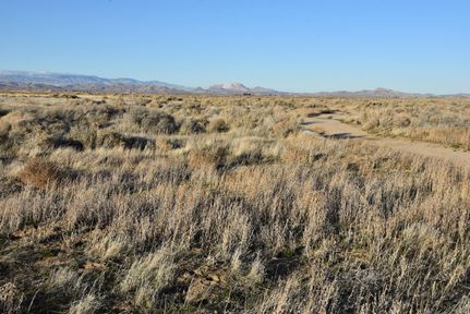 Farm and Ranch in Los Angeles County, California