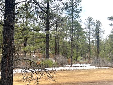 Farm and Ranch in Archuleta County, Colorado