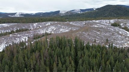 Undeveloped Land in Benewah County, Idaho