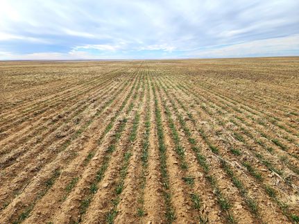 Farm and Ranch in Kiowa County, Colorado