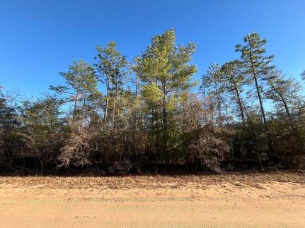Land for sale in Jackson County, Florida