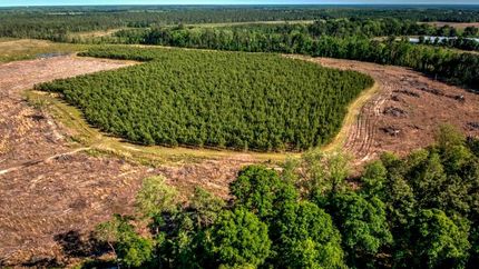 Farm and Ranch in Tattnall County, Georgia