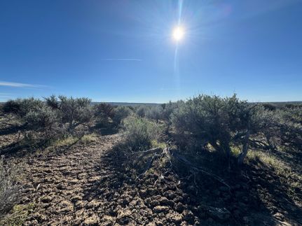 Undeveloped Land in Lake County, Oregon