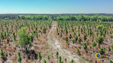 Recreational Property in Kershaw County, South Carolina