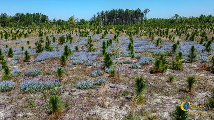 Recreational Property in Kershaw County, South Carolina
