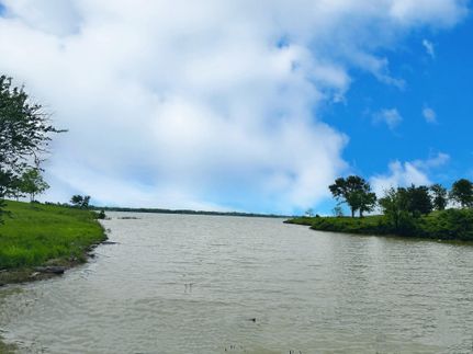 Undeveloped Land in Navarro County, Texas