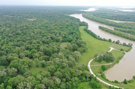 Undeveloped Land in Trinity County, Texas