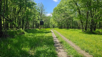 Timberland Property in Desha County, Arkansas