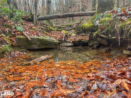 Land in Scott County, Tennessee