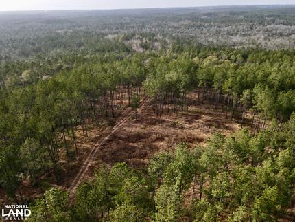 Hunting Property in Baldwin County, Alabama