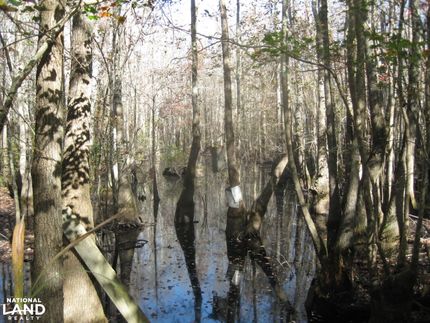 Land in Dillon County, South Carolina