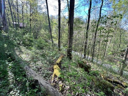 Undeveloped Land in Powell County, Kentucky