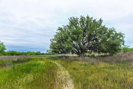 Hunting Property in McCulloch County, Texas
