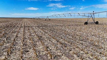 Farm and Ranch in Chase County, Nebraska