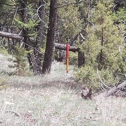 Timberland Property for sale in Granite County, Montana