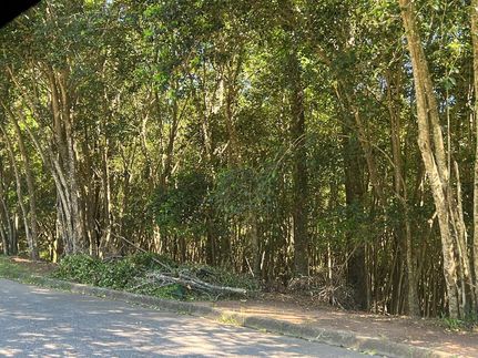 Homesite for sale in Pike County, Alabama