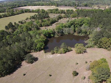 Farm and Ranch in Covington County, Alabama