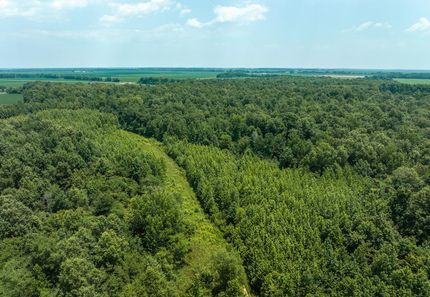 Farm and Ranch in Butler County, Missouri