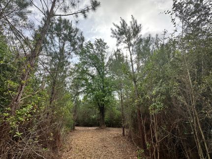 Land in Wayne County, Mississippi