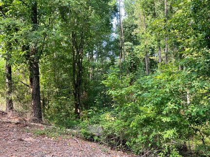 Undeveloped Land in Lawrence County, Alabama
