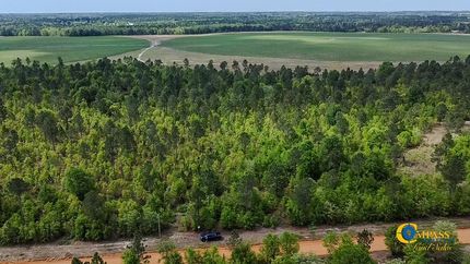 Undeveloped Land in Aiken County, South Carolina