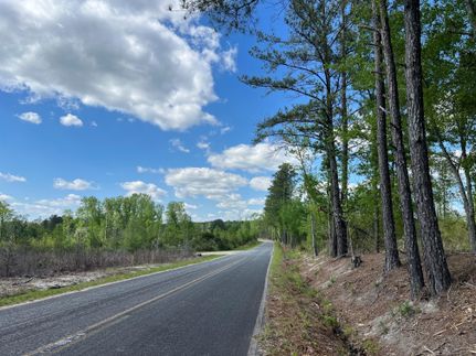 Undeveloped Land in Lexington County, South Carolina