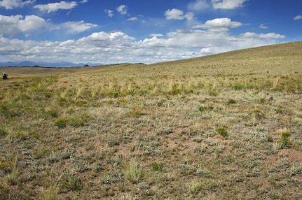 Undeveloped Land in Park County, Colorado