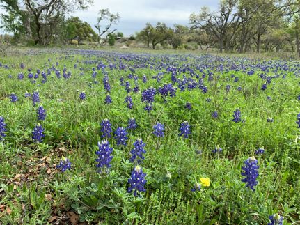 Recreational Property for sale in Comal County, Texas