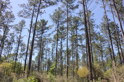 Recreational Property for sale in Angelina County, Texas