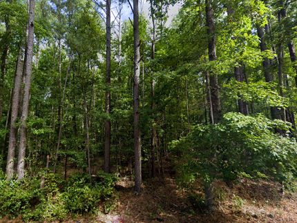 Undeveloped Land in Lee County, Alabama