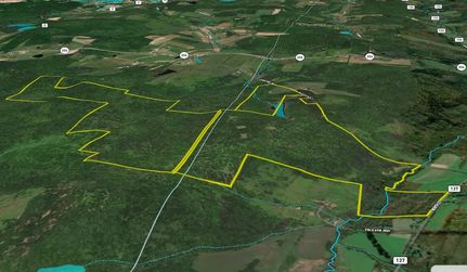 Timberland Property in Broome County, New York