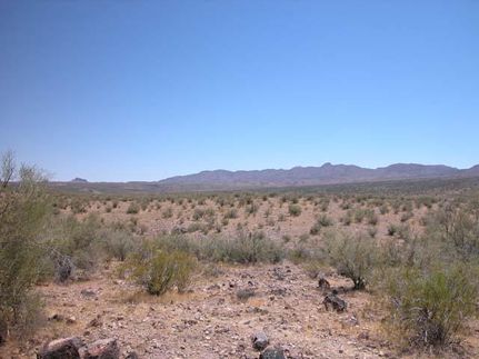 Farm and Ranch in Mohave County, Arizona