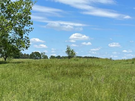 Land for sale in Pike County, Alabama