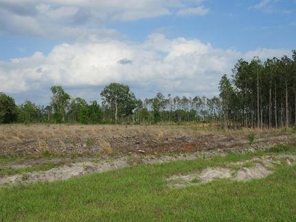 Land in Levy County, Florida