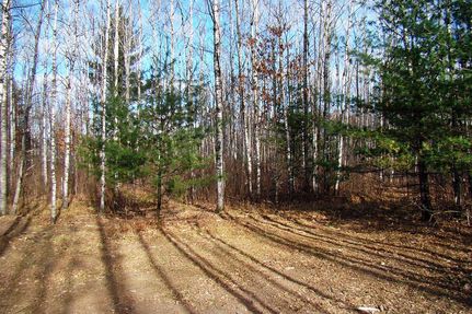 Recreational Property in Oneida County, Wisconsin