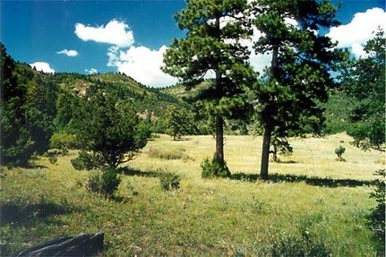 Farm and Ranch in Fremont County, Colorado