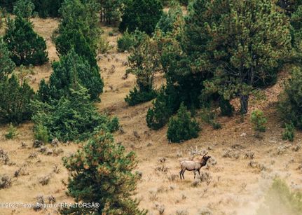 Land in Campbell County, Wyoming