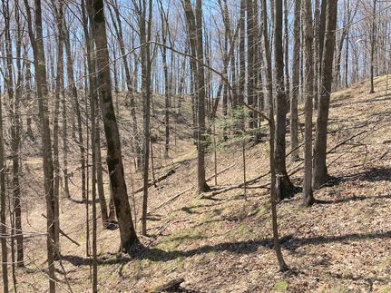 Recreational Property in Lincoln County, Wisconsin