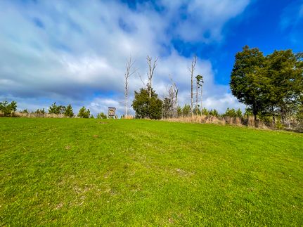 Farm and Ranch in Lauderdale County, Alabama