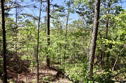 Undeveloped Land in Le Flore County, Oklahoma