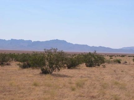 Timberland Property in Mohave County, Arizona