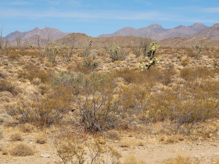 Farm and Ranch in Mohave County, Arizona
