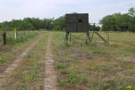 Undeveloped Land in Brooks County, Texas