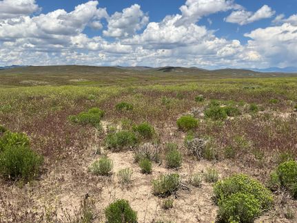 Timberland Property in Elko County, Nevada