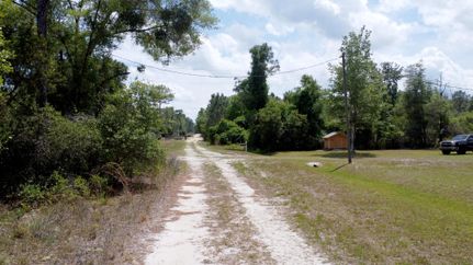 Undeveloped Land in Putnam County, Florida